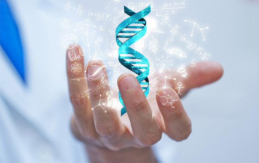 佳木斯个人想做DNA亲子鉴定如何做,佳木斯亲子鉴定需要什么流程