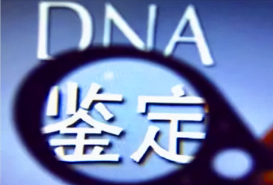 辽宁省匿名DNA亲子鉴定要如何办理,辽宁省个人亲子鉴定办理流程
