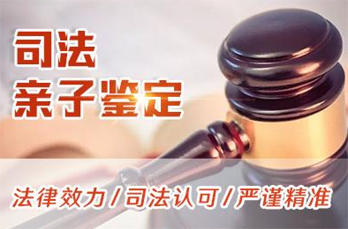 黑龙江省司法DNA亲子鉴定如何办理,黑龙江省司法DNA鉴定的费用是多少
