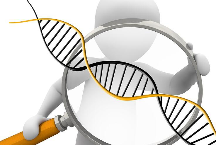 河南省实名DNA鉴定收费多少钱,河南省专业实名DNA鉴定中心